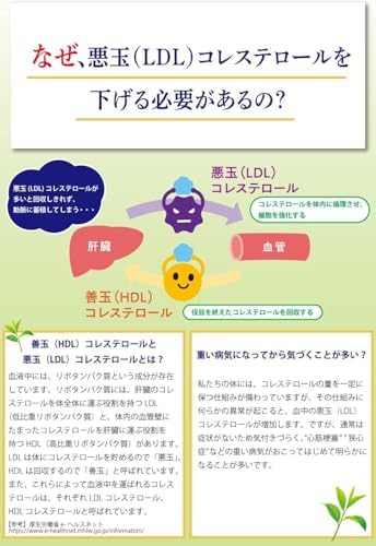 [機能性表示食品] サントリー 伊右衛門プラス コレステロール対策 ほうじ茶ブレンド お茶 500ml ×24本 まとめ売り実施中