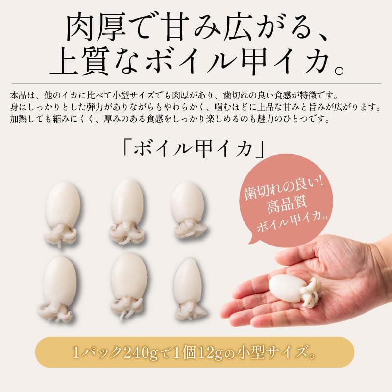 港ダイニングしおそう ボイル 甲イカ コウイカ 大容量 480g（240g×2P） 生食用 こういか 冷凍イカ お刺身 寿司ネタ お寿司 いか イカ お取り寄せ グルメ 魚介 海鮮 産地直送 プレゼント ギフト