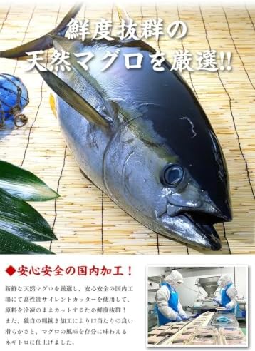 甲羅組 個別包装で使い易い 天然まぐろ使用！ とろける 極上ねぎとろ 1kg（一人前100g×10袋入り）ネギトロ ねぎとろ まぐろたたき マグロタタキ 鮪ユッケ
