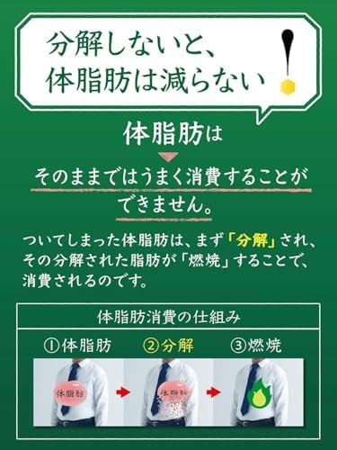 [2CS] サントリー SUNTORY 伊右衛門 特茶 TOKUCHA 特定保健用食品 500ml ペット × 24本入り × 2ケース セット 合計48本 トクチャ トクホ