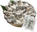 SETOUCHI OYSTER 冷凍かき 広島県産 1.2kg (600g × 2袋 / 解凍後 各510g / 2L) 国産 冷凍牡蠣 (殻無し/むき身/加熱用) 大粒 海鮮