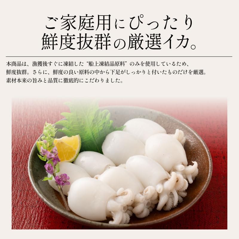港ダイニングしおそう ボイル 甲イカ コウイカ 大容量 480g（240g×2P） 生食用 こういか 冷凍イカ お刺身 寿司ネタ お寿司 いか イカ お取り寄せ グルメ 魚介 海鮮 産地直送 プレゼント ギフト