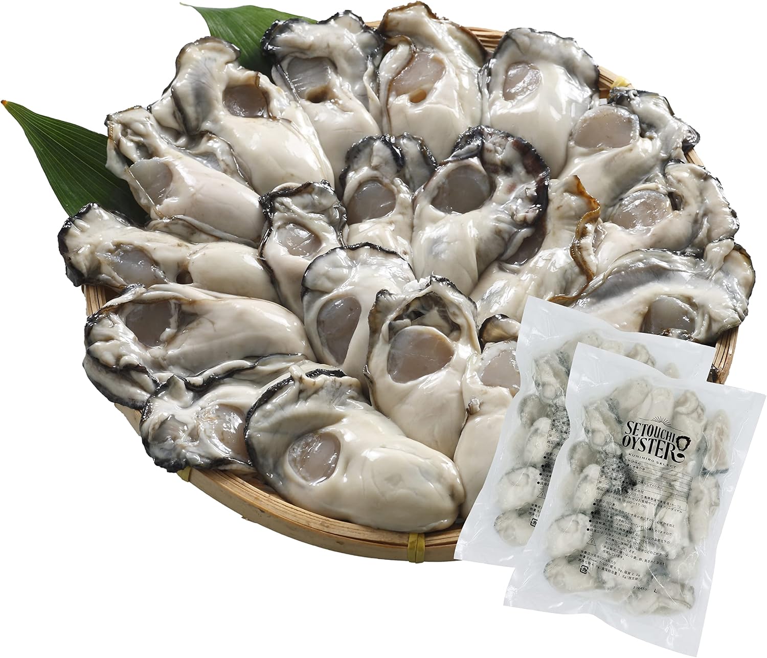 SETOUCHI OYSTER 冷凍かき 広島県産 1.2kg (600g × 2袋 / 解凍後 各510g / 2L) 国産 冷凍牡蠣 (殻無し/むき身/加熱用) 大粒 海鮮